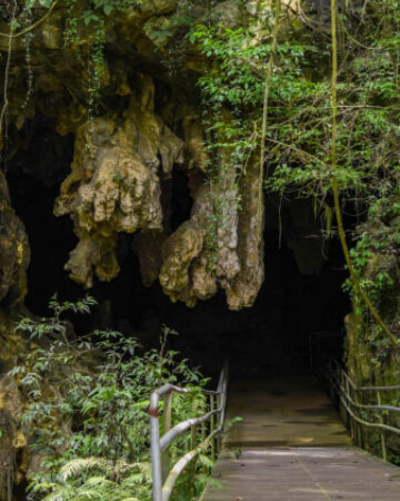 Gruta do Bacaetava - Colombo